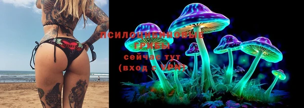 ешки Абаза