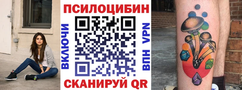 Псилоцибиновые грибы мицелий  купить наркоту  Кизилюрт 