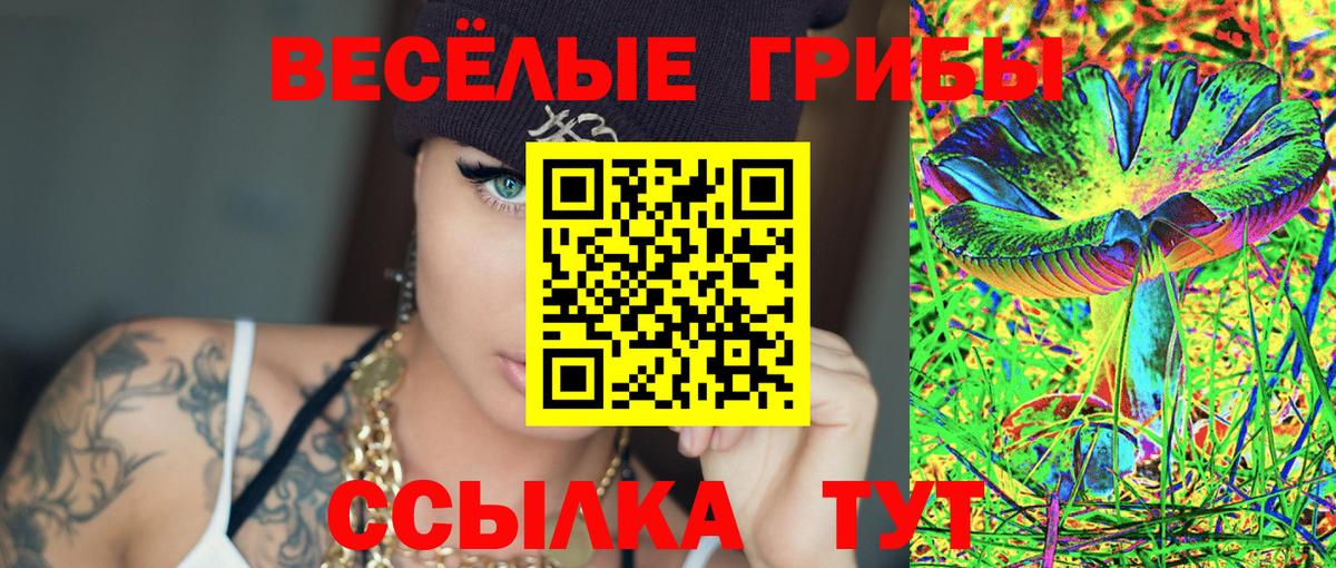 Галлюциногенные грибы MAGIC MUSHROOMS Кизилюрт